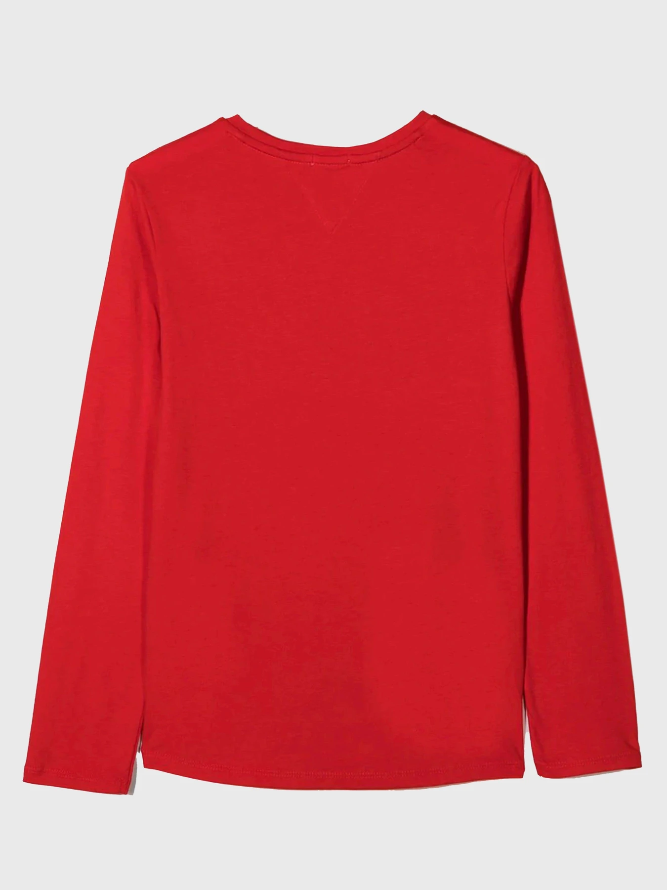 Худи и свитшоты Tommy Hilfiger модель KG0KG05509-XNL Фото
