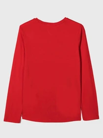 Худи и свитшоты Tommy Hilfiger модель KG0KG05509-XNL Фото