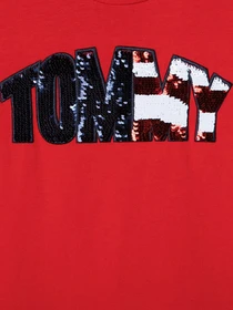 Худи и свитшоты Tommy Hilfiger модель KG0KG05509-XNL Фото