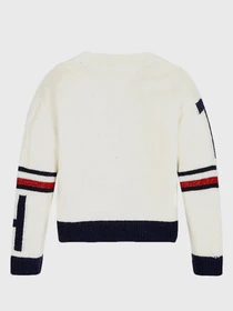 Худі та світшоти Tommy Hilfiger модель KG0KG05525-Z00 Фото