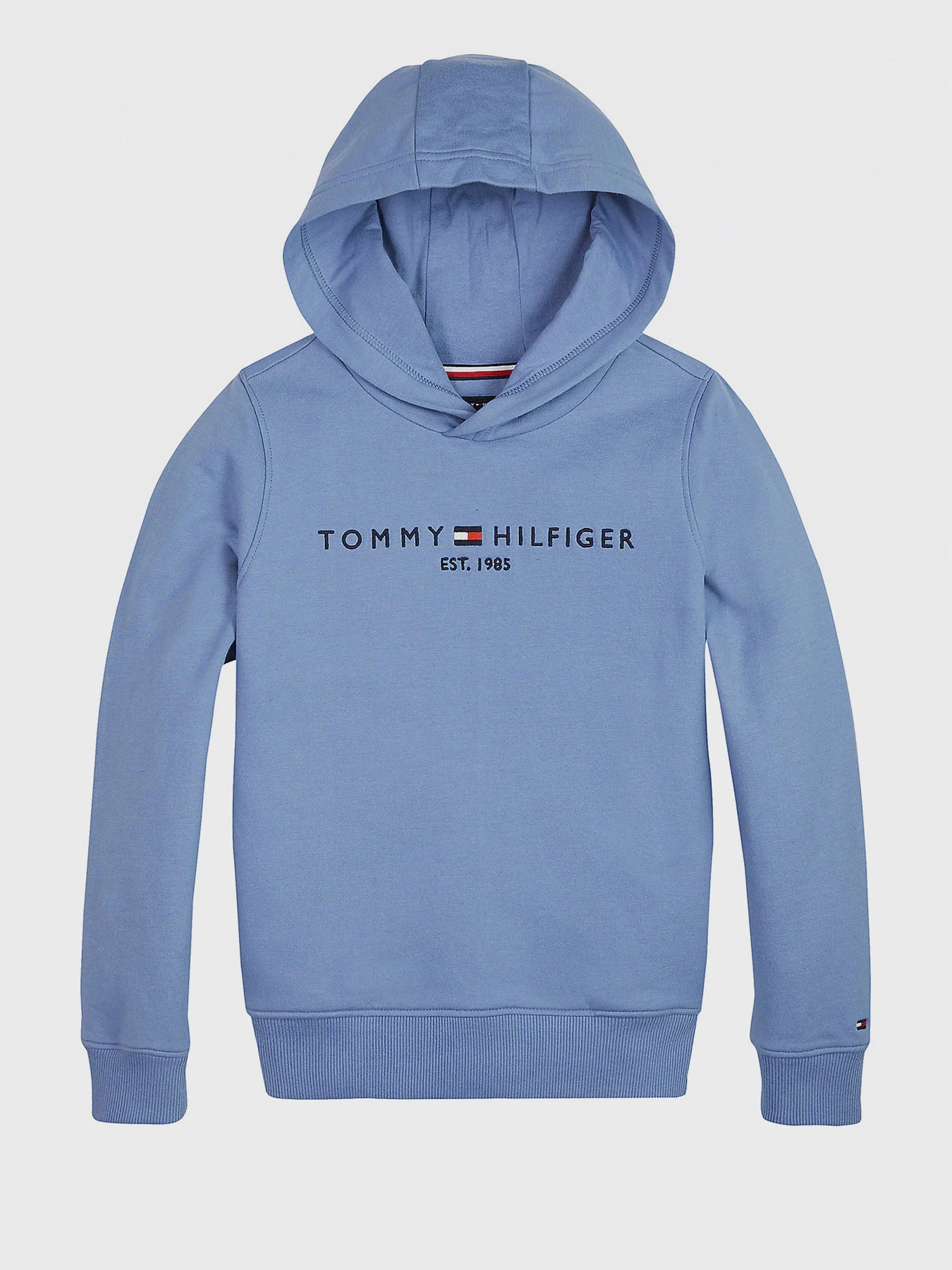 Худи и свитшоты Tommy Hilfiger модель KB0KB05796-CZD Фото