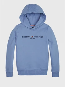 Худи и свитшоты Tommy Hilfiger модель KB0KB05796-CZD Фото