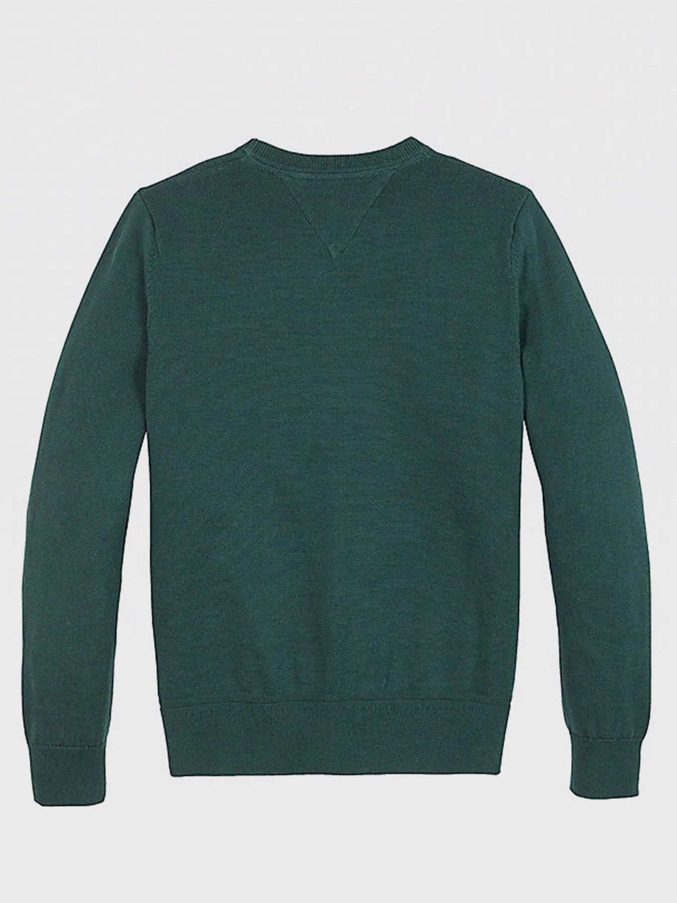 Худи и свитшоты Tommy Hilfiger модель KB0KB06070-L6N Фото