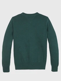 Худи и свитшоты Tommy Hilfiger модель KB0KB06070-L6N Фото