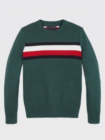 Худи и свитшоты Tommy Hilfiger модель KB0KB06070-L6N Фото