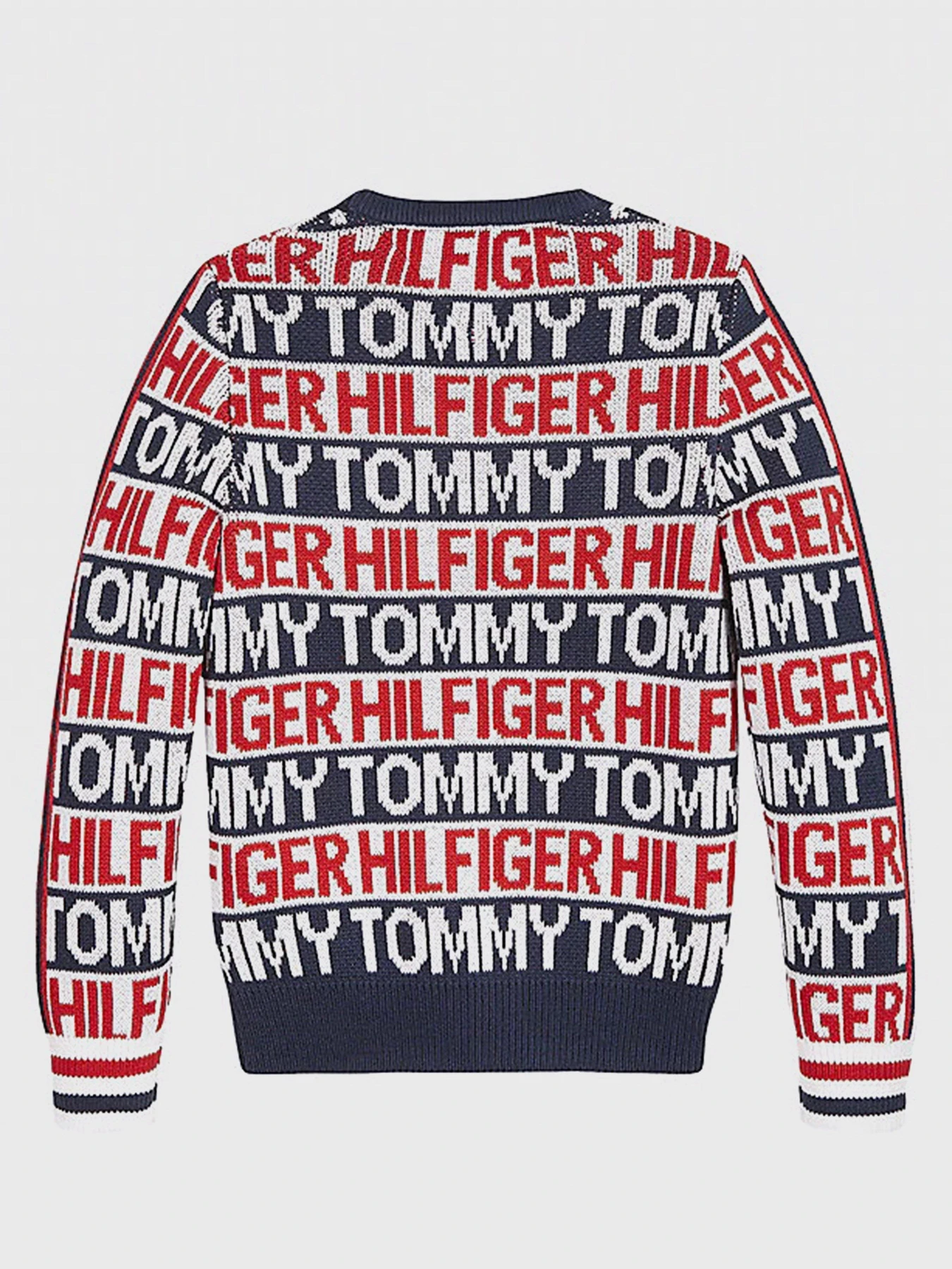 Худи и свитшоты Tommy Hilfiger модель KB0KB06088-Z01 Фото