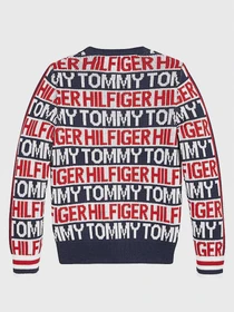 Худи и свитшоты Tommy Hilfiger модель KB0KB06088-Z01 Фото