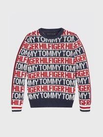 Худи и свитшоты Tommy Hilfiger модель KB0KB06088-Z01 Фото