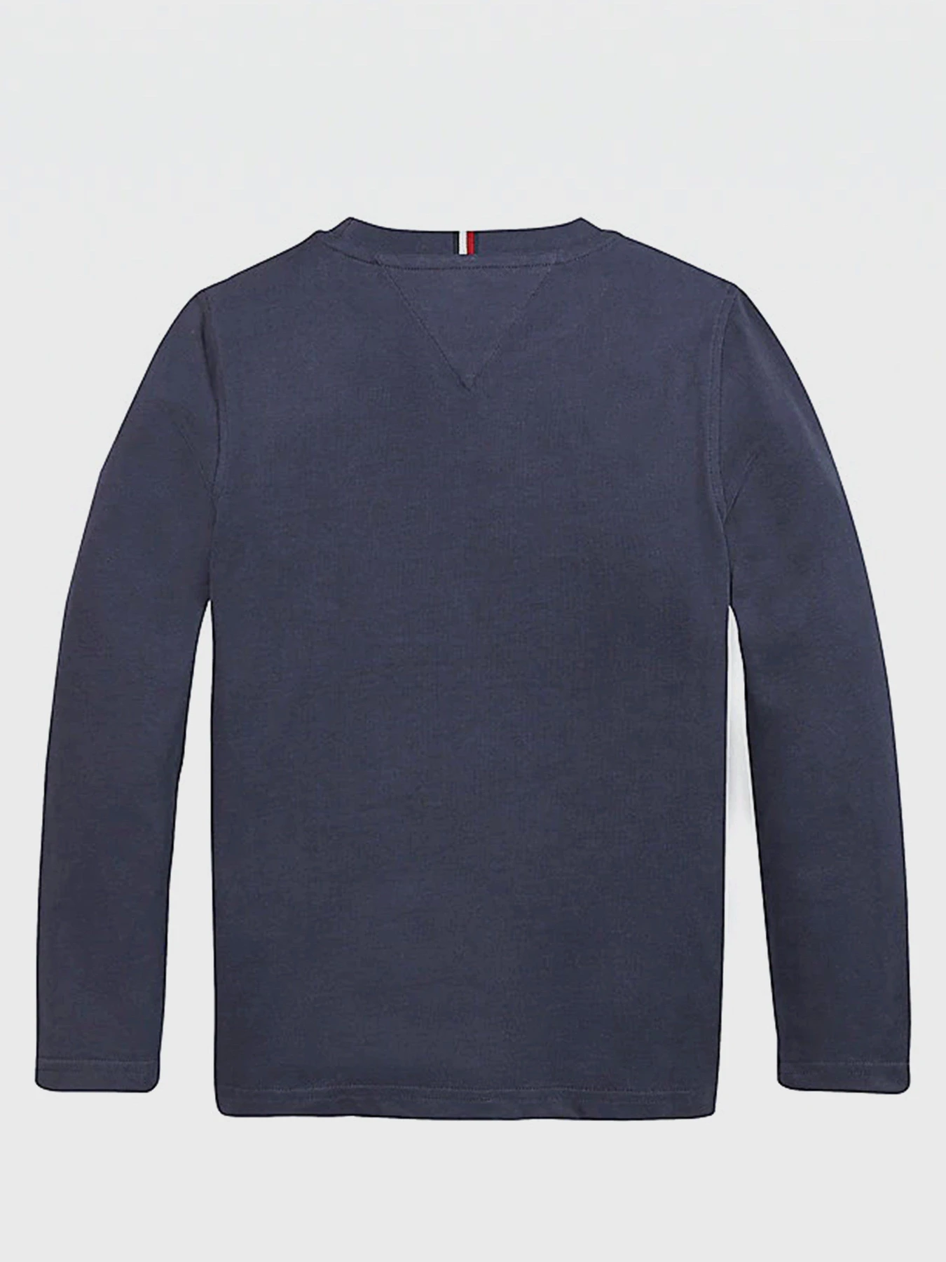 Худи и свитшоты Tommy Hilfiger модель KB0KB06102-C87 Фото