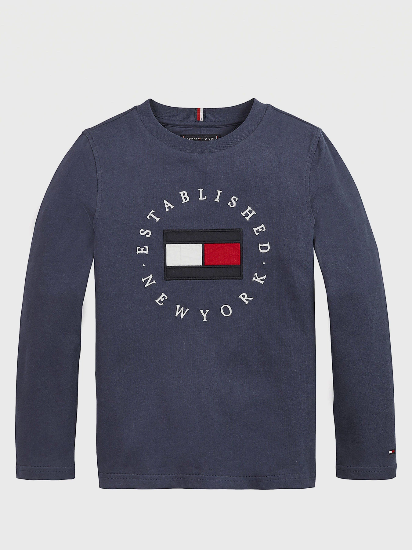 Худи и свитшоты Tommy Hilfiger модель KB0KB06102-C87 Фото