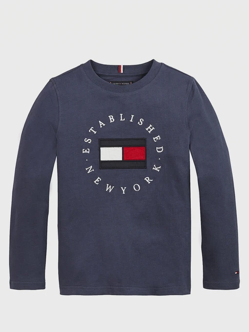 Худи и свитшоты Tommy Hilfiger модель KB0KB06102-C87 Фото