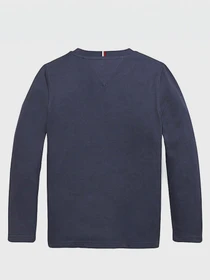 Худи и свитшоты Tommy Hilfiger модель KB0KB06102-C87 Фото