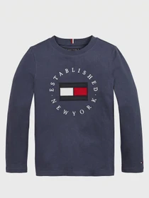Худи и свитшоты Tommy Hilfiger модель KB0KB06102-C87 Фото