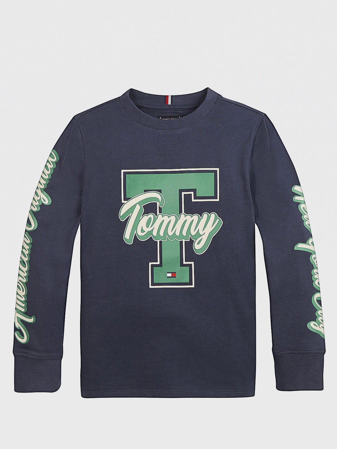 Худи и свитшоты Tommy Hilfiger модель KB0KB06104-C87 Фото