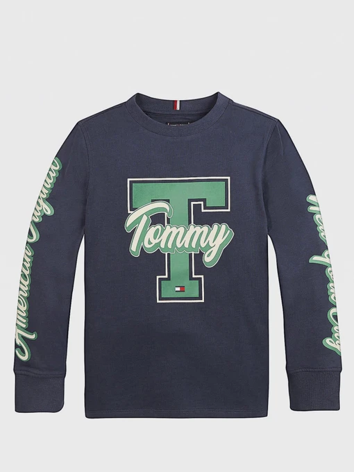 Худи и свитшоты Tommy Hilfiger модель KB0KB06104-C87 Фото