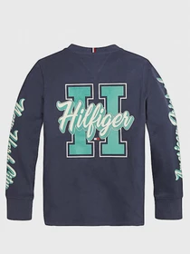 Худи и свитшоты Tommy Hilfiger модель KB0KB06104-C87 Фото