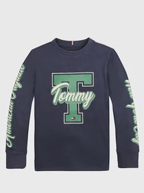 Худи и свитшоты Tommy Hilfiger модель KB0KB06104-C87 Фото