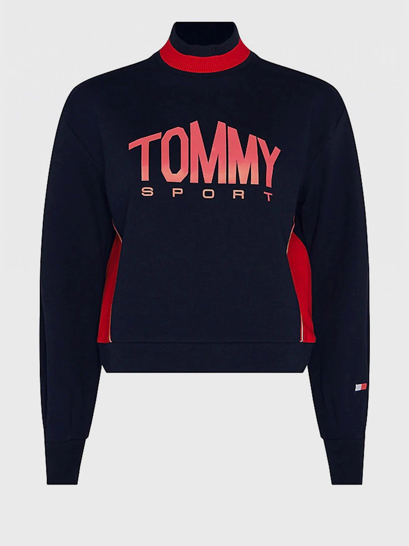 Худи и свитшоты Tommy Hilfiger модель S10S100662-DW5 Худи и свитшоты Tommy Hilfiger модель S10S100662-DW5 Фото