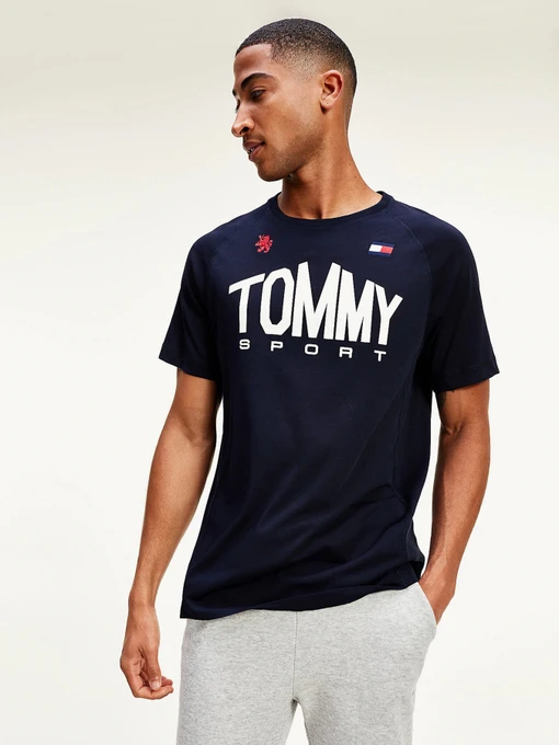 Футболки и поло Tommy Hilfiger ICONS модель S20S200502-DW5 Фото