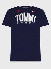 Футболки и поло Tommy Hilfiger ICONS модель S20S200502-DW5 Фото