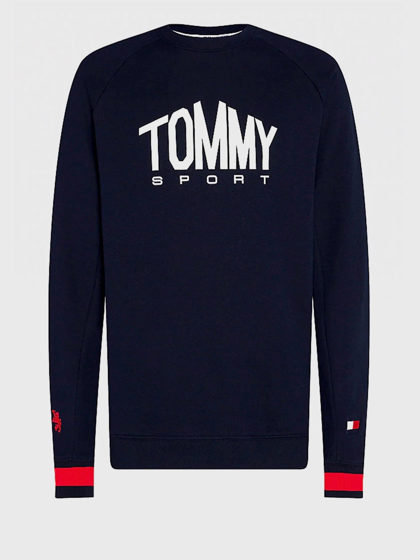 Худи и свитшоты Tommy Hilfiger модель S20S200510-DW5 Фото