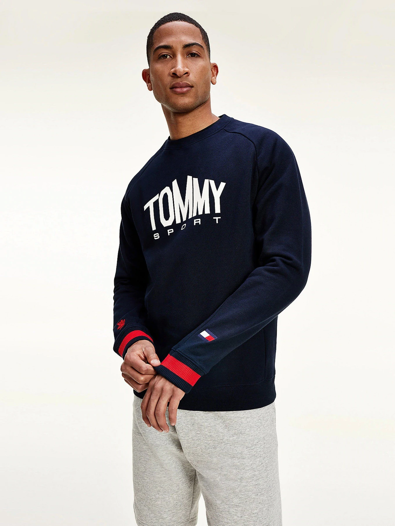 Худи и свитшоты Tommy Hilfiger модель S20S200510-DW5 Фото