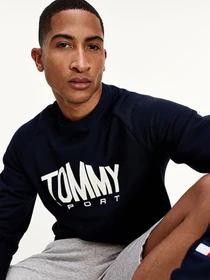 Худи и свитшоты Tommy Hilfiger модель S20S200510-DW5 Фото