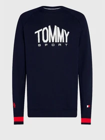 Худи и свитшоты Tommy Hilfiger модель S20S200510-DW5 Фото