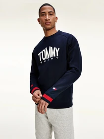 Худи и свитшоты Tommy Hilfiger модель S20S200510-DW5 Фото