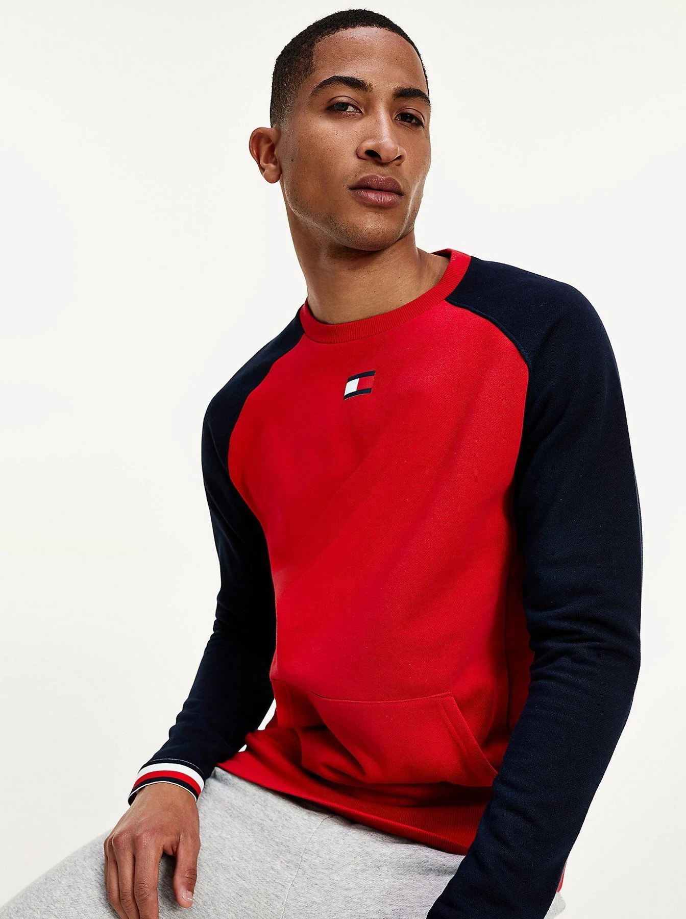 Худи и свитшоты Tommy Hilfiger модель S20S200513-XLG Худи и свитшоты Tommy Hilfiger модель S20S200513-XLG Фото