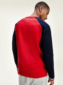 Худи и свитшоты Tommy Hilfiger модель S20S200513-XLG Фото