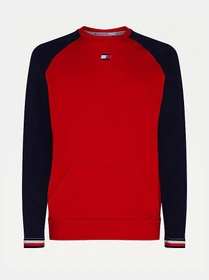 Худи и свитшоты Tommy Hilfiger модель S20S200513-XLG Фото