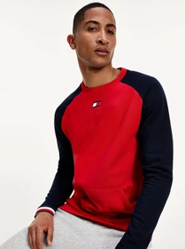 Худи и свитшоты Tommy Hilfiger модель S20S200513-XLG Фото
