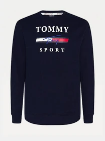 Худи и свитшоты Tommy Hilfiger модель S20S200585-DW5 Фото