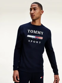 Худи и свитшоты Tommy Hilfiger модель S20S200585-DW5 Фото