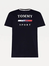 Футболки и поло Tommy Hilfiger модель S20S200586-DW5 Фото