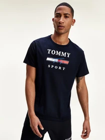 Футболки и поло Tommy Hilfiger модель S20S200586-DW5 Фото