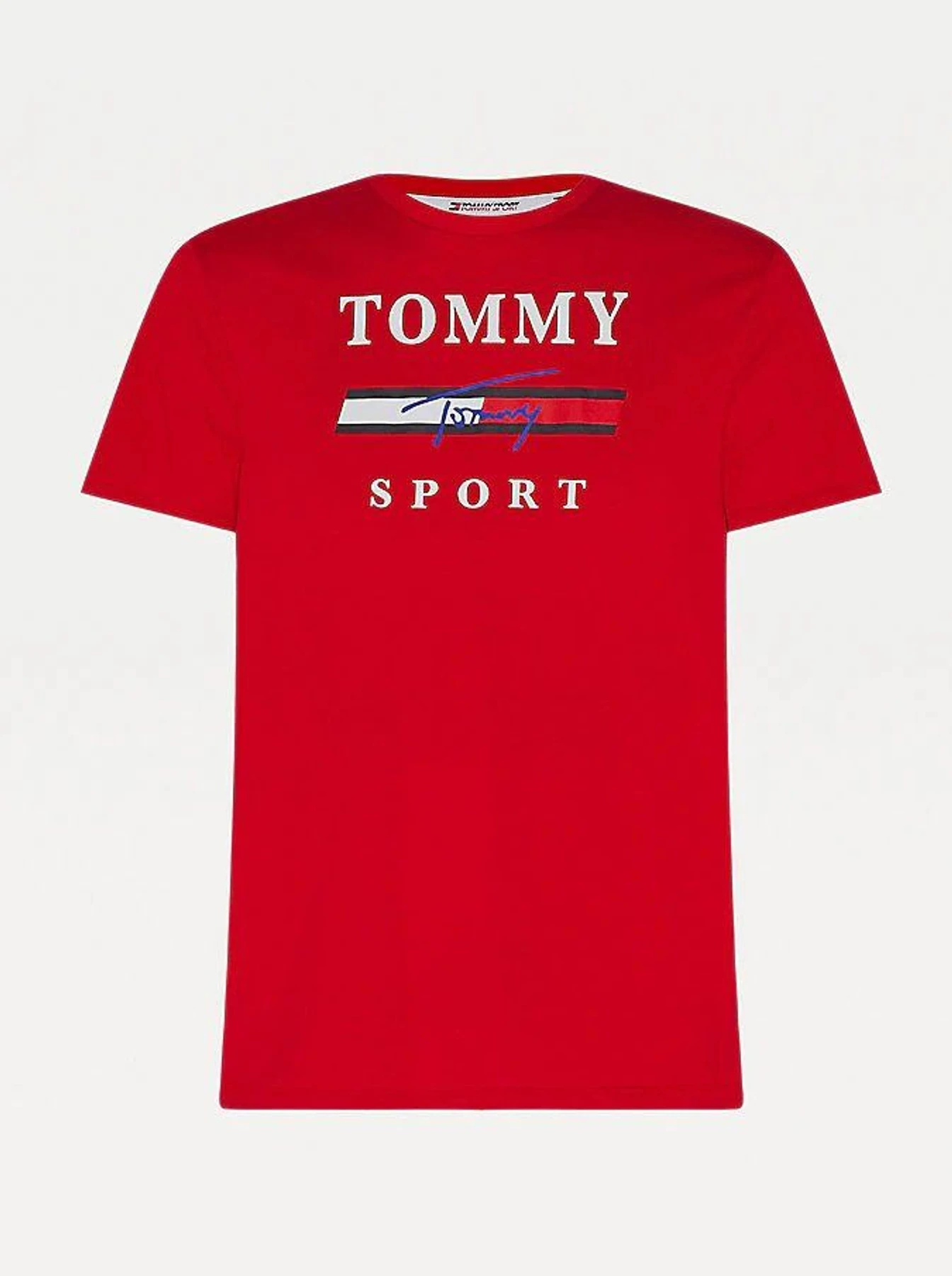 Футболки и поло Tommy Hilfiger модель S20S200586-XLG Футболки и поло Tommy Hilfiger модель S20S200586-XLG Фото