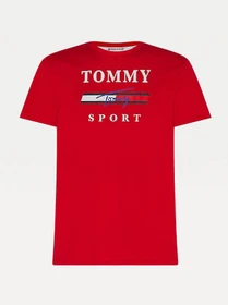 Футболки и поло Tommy Hilfiger модель S20S200586-XLG Фото