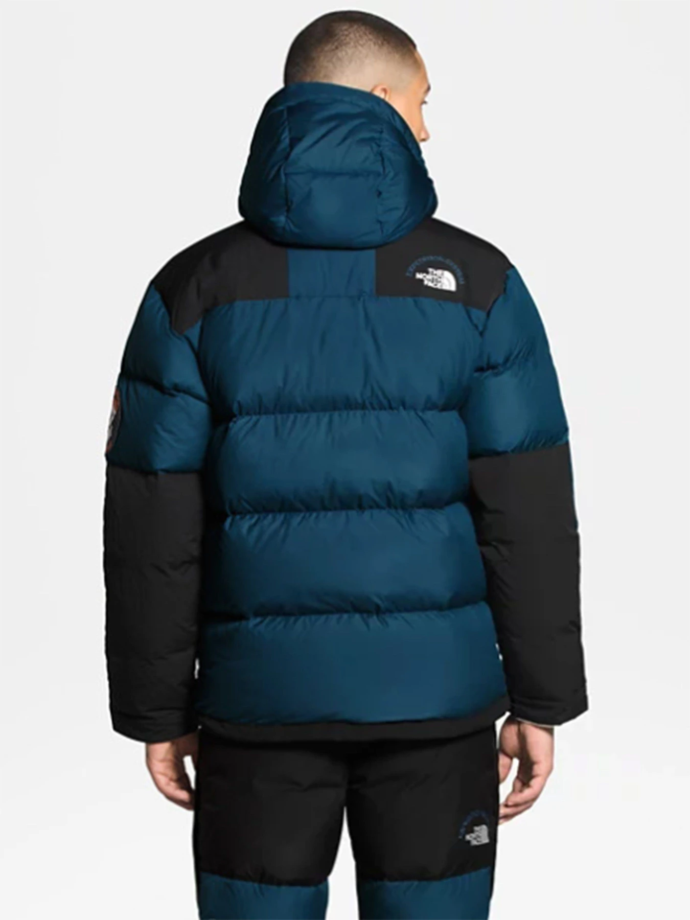 Куртки и дубленки The North Face Nse Sagarmatha модель NF0A4QYFN4L1 Куртки и дубленки The North Face Nse Sagarmatha модель NF0A4QYFN4L1 Фото