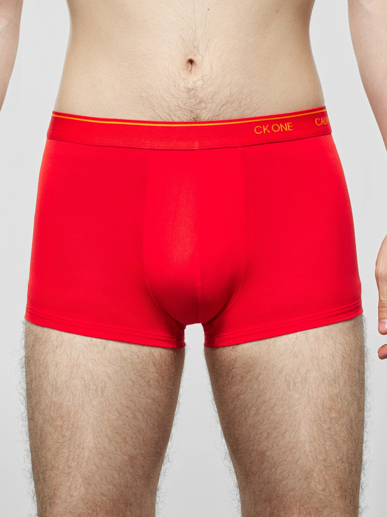 Нижнее белье Calvin Klein Underwear модель NB2225A_7FK_0041 Фото