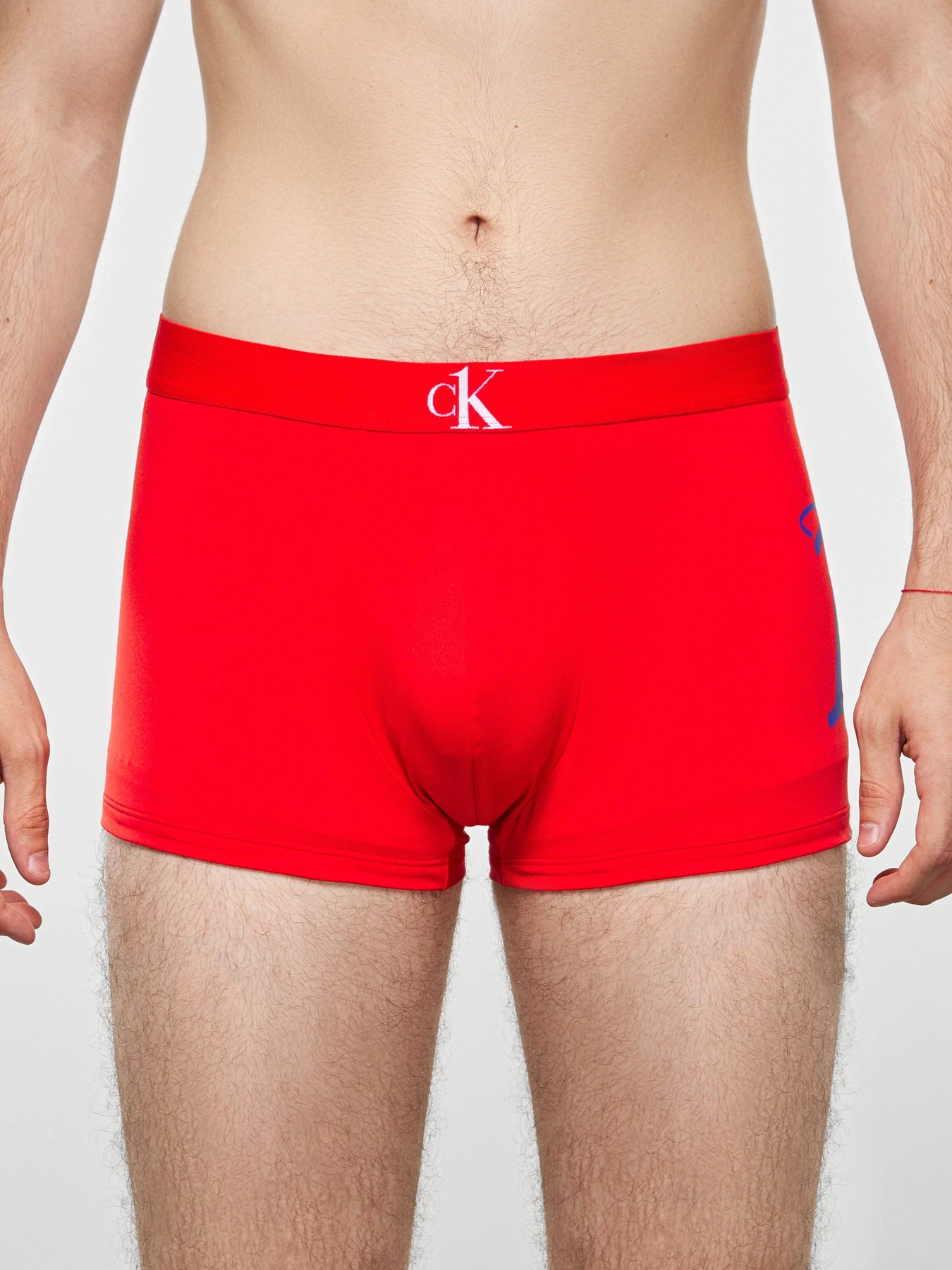 Нижнее белье Calvin Klein Jeans модель NB2353A_7FK_0041 Фото