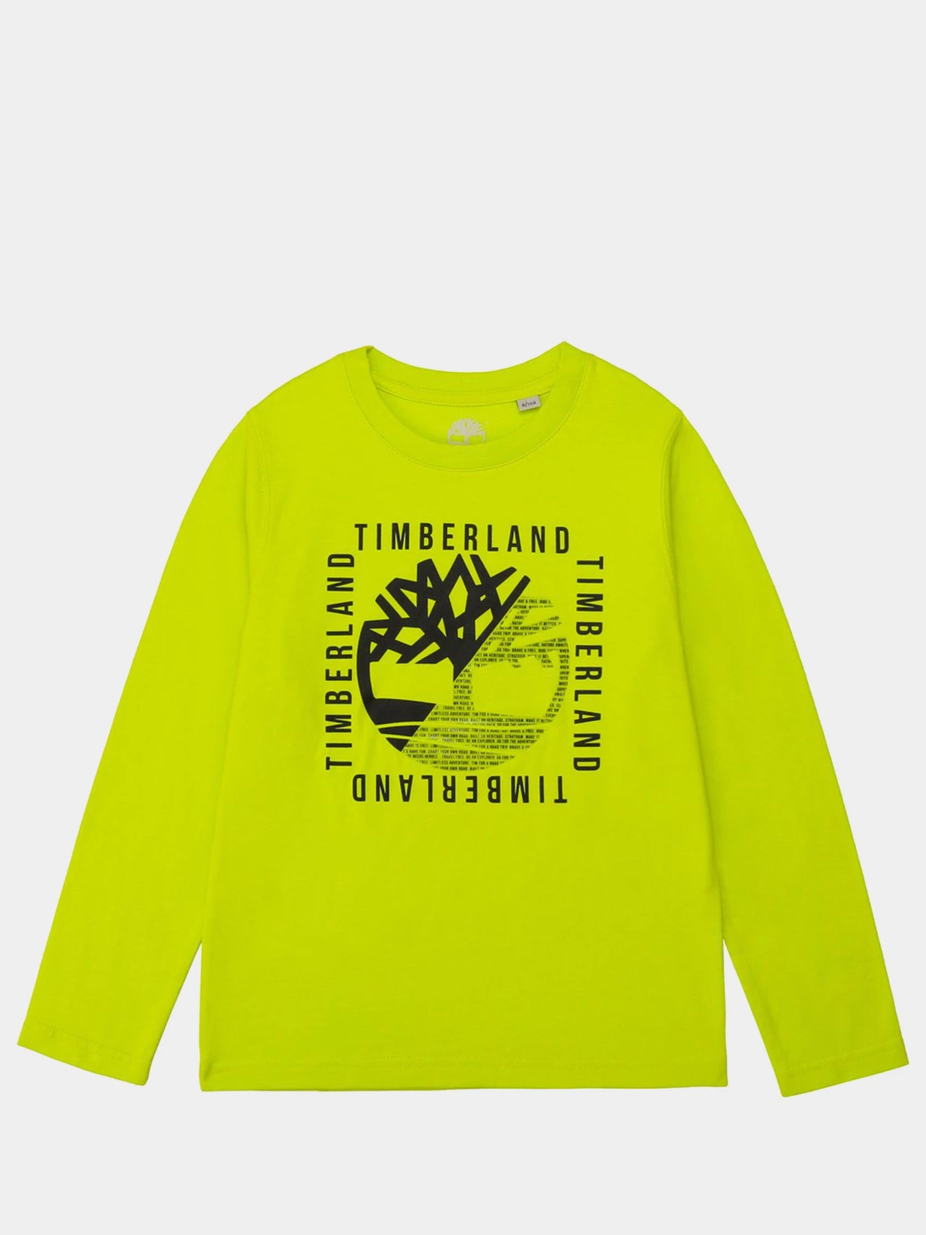 Худі та світшоти Timberland Kids модель T25R18/60M Фото