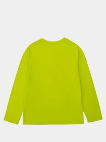Худі та світшоти Timberland Kids модель T25R18/60M Фото