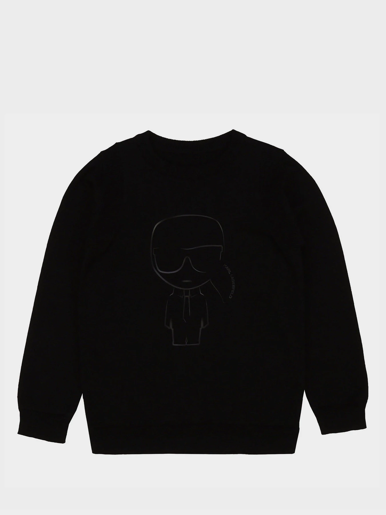 Худі та світшоти Karl Lagerfeld Kids модель Z25259/09B Фото