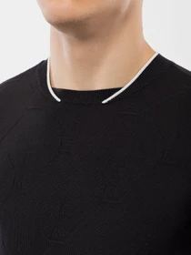 Свитры и кардиганы Emporio Armani модель 6H1MX1-1MIPZ-0922 Фото