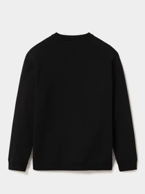 Худи и свитшоты Napapijri Sweatshirt Box модель NP0A4EIS0411 Фото