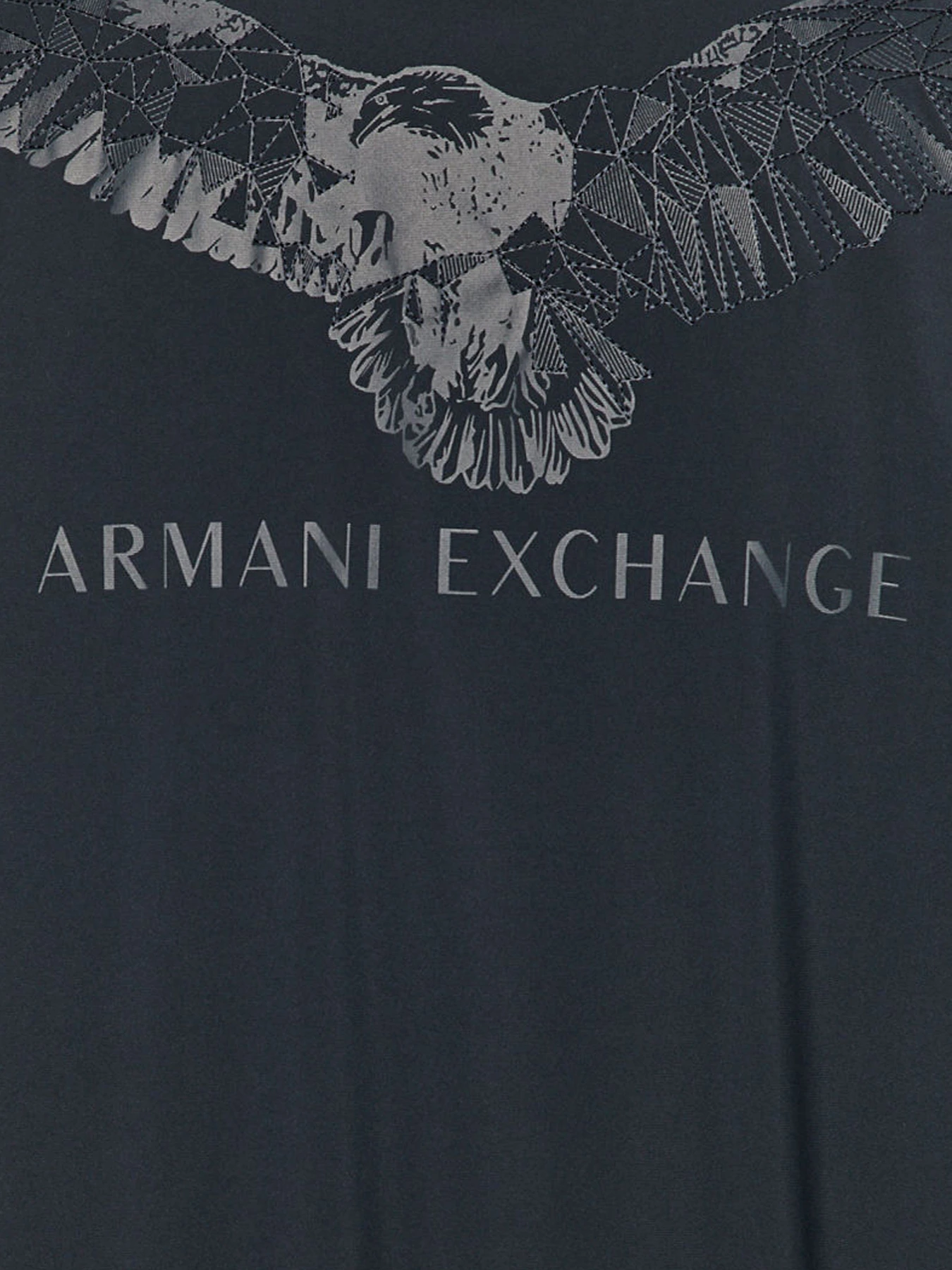 Куртки и дубленки Armani Exchange модель 6HZB52-ZNG1Z-1510 Куртки и дубленки Armani Exchange модель 6HZB52-ZNG1Z-1510 Фото