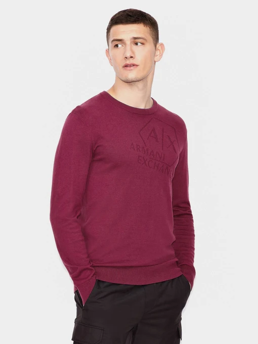 Свитры и кардиганы Armani Exchange модель 6HZM1A-ZML5Z-1306 Фото