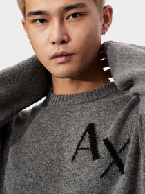Худи и свитшоты Armani Exchange модель 6HZM1H-ZMN8Z-5945 Фото